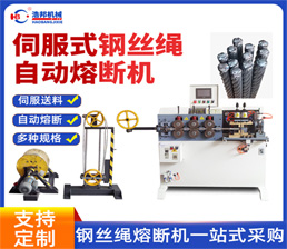 <span style='color:#FF0000'>38/HBRD-80SF-6.4MMServo Steel Wire Rope Fusing Machine</span>
